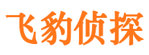 肃宁市调查公司